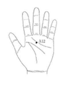 서금요법 지상강좌(10)