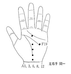 학술위원 지상강좌(15)