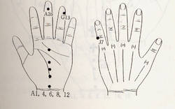 학술위원 지상강좌(17)