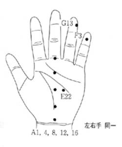 학술위원 지상강좌(20)