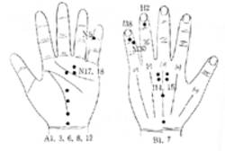 학술위원 지상강좌(20, 21)