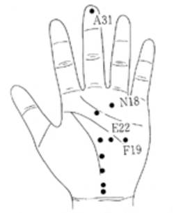 서금요법 지상강좌(22)