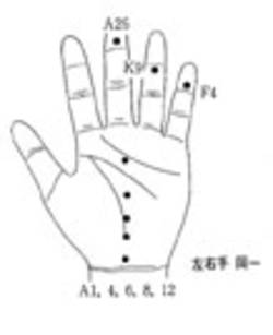 학술위원 지상강좌(24)