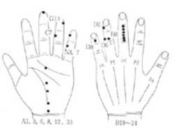 학술위원 서금요법 지상강좌(25)