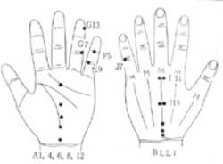 학술위원 서금요법 지상강좌(25)