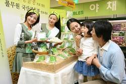 황금콩으로 만든 두부 맛보세요