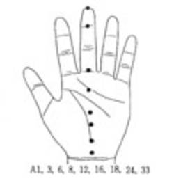 학술위원 지상강좌(31)