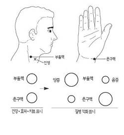 합곡혈에 침&#8231;뜸 교감신경 항진