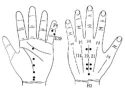 학술위원 지상강좌(41)-냉대하