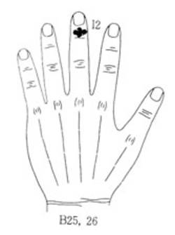 학술위원 지상강좌(46)