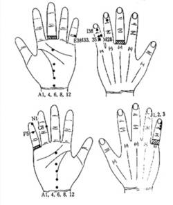 서금요법 지상강좌(47)