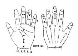 지상강좌(49) 갑상선