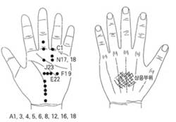 학술위원 지상강좌(70)