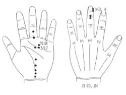 학술위원 지상강좌(74)