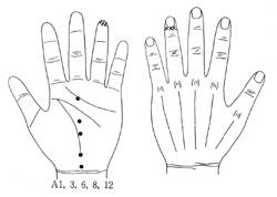 학술위원 지상강좌(78)