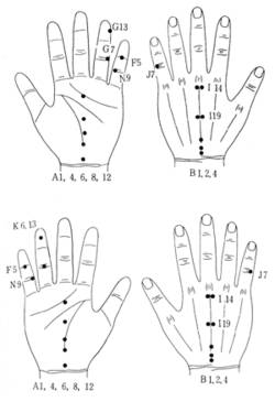 학술위원 지상강좌(81)