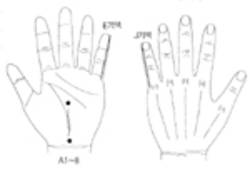 학술위원 지상강좌(82)