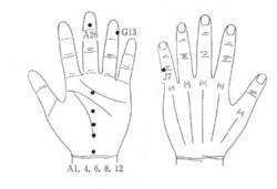 학술위원 지상강좌(84)