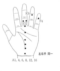 학술위원 지상강좌(85)