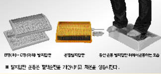 최신온열요법(3)-운동과잉시 혈액순환 장애 고지혈증 유발