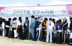 국내외 참가자 모두 "서금요법 원더풀"