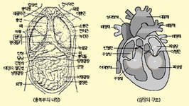 최신 온열요법(11)지나친 운동도 신체 냉증 유발