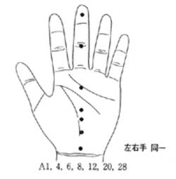학술위원 지상강좌(91)