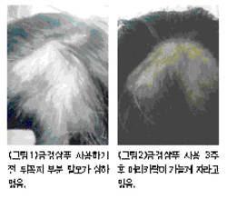 금경모 샴푸 탈모 집중케어