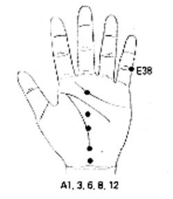 학술위원 지상강좌(100)