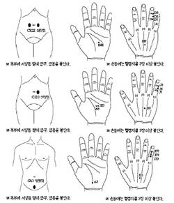 최신온열(75)-대장기능 조절 치방