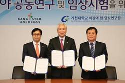 길병원, 제대혈 유래 만능 줄기세포 치료제 공동개발