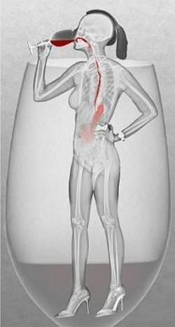 핵안보정상회의에 X-ray아트 작품 소개