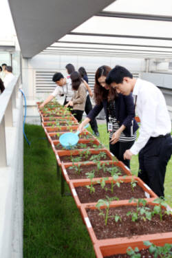 SK케미칼 ‘환경의 날’ 맞이 텃밭가꾸기