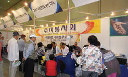 부산지회 자원봉사 '화제'