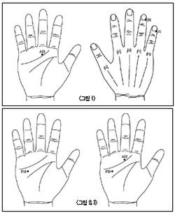 서금요법 온가족 든든한 건강지킴이