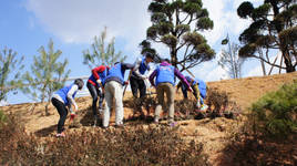 aT 녹색환경 조성 앞장