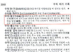 국어대사전에 수지침 게재