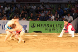 허벌라이프 건강·활기찬 라이프스타일 전파