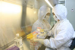 합성신약 대체 바이오의약품 개발 활기