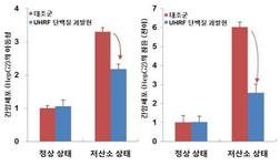 암세포의 활동성에 관여하는 UHRF1 단백질 발견