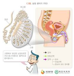 볼거리 환자 고위험군…결핵균·매독균도 원인