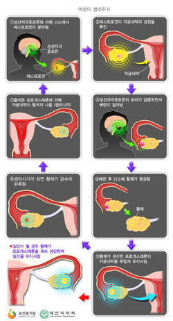 가임기女 15% 고통…35세 이후 만혼도 난임 유발