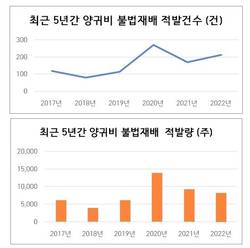 최근 5년간 양귀비 불법재배 총 955건 적발