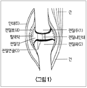 <그림 1>
