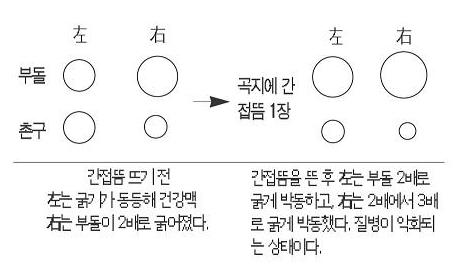 <실험 2>