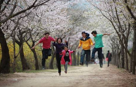 2012년 사진부문 대상 조익제 ‘벗꽃을 즐기는 가족’