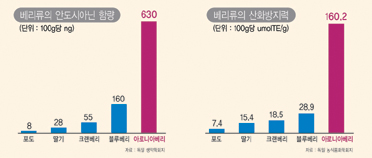 베리류 비교표