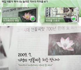 ‘프리메라 미라클씨드에센스’ 의 히스토리.