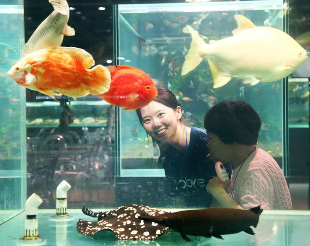 한국애브비, 건강 약자를 위한 사회공헌활동 성료