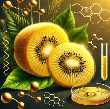 식품진흥원, 건기식 상품화 가속 - 뉴스 썸네일 이미지